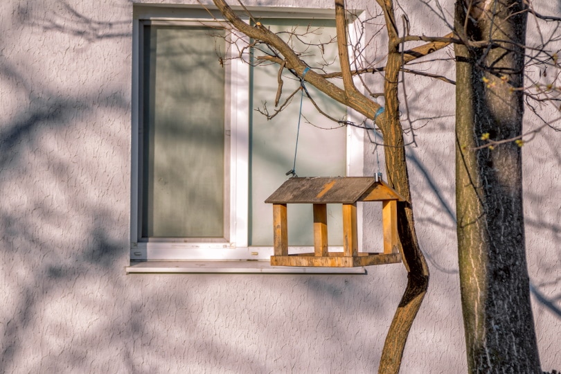 bird feeder near window