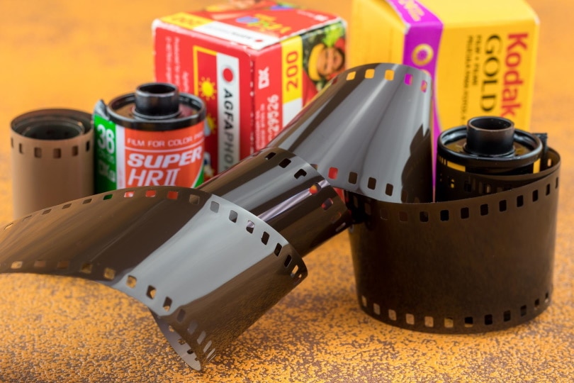 film roll