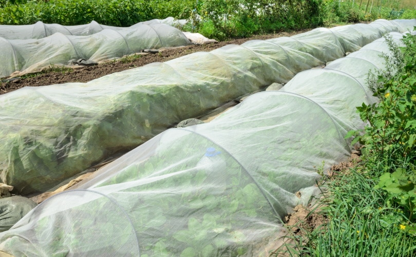 garden netting
