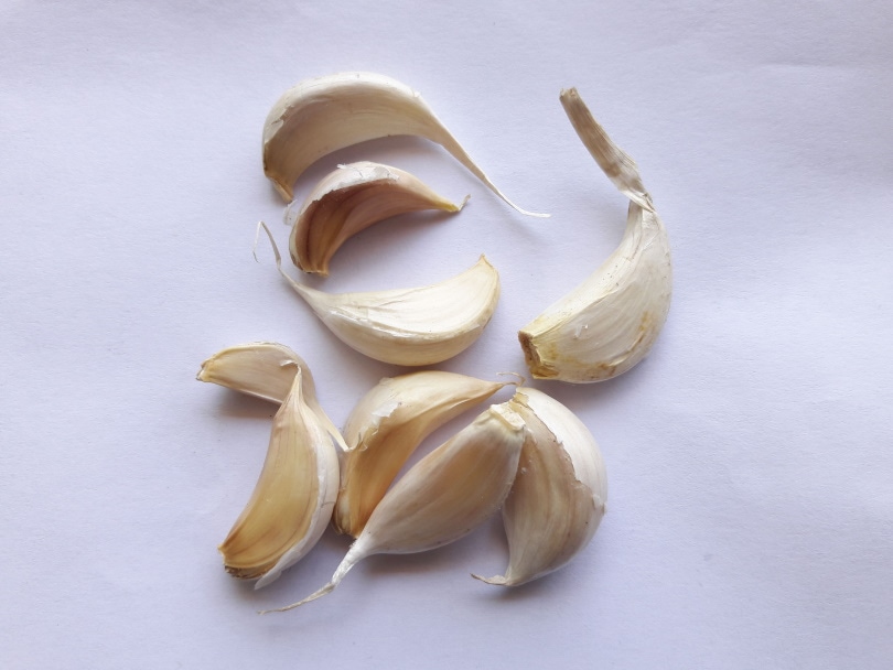garlic