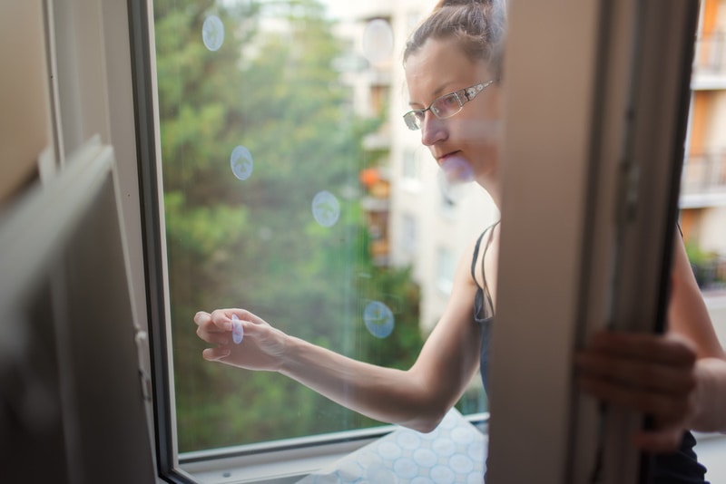 woman sticking bird decals in the window
