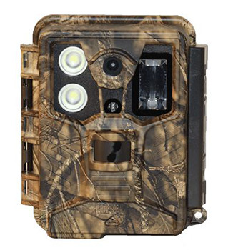 Covert Hollywood Trail Camera