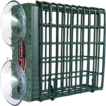 Kettle Moraine Window