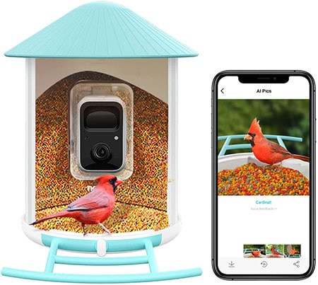 NETVUE Birdfy
