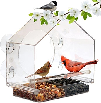Window Bird House