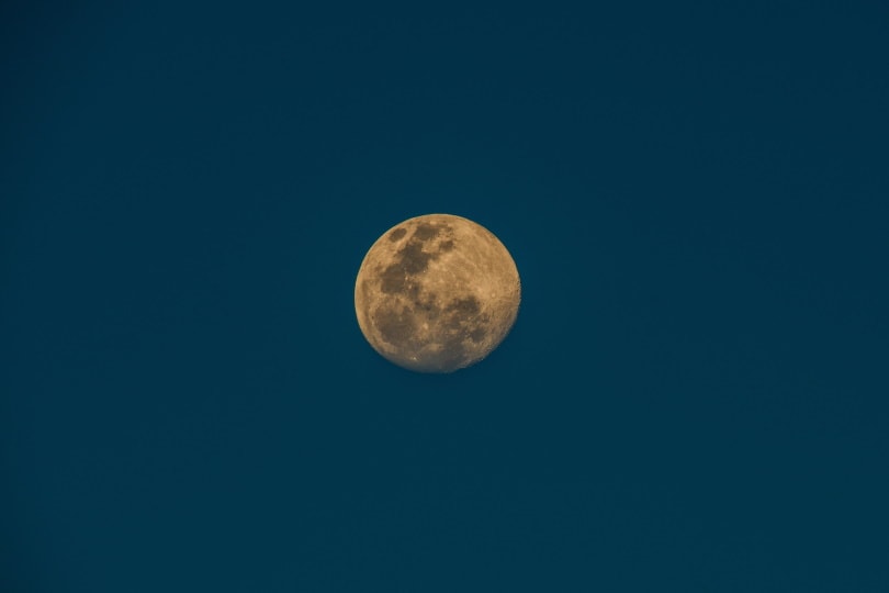 full moon