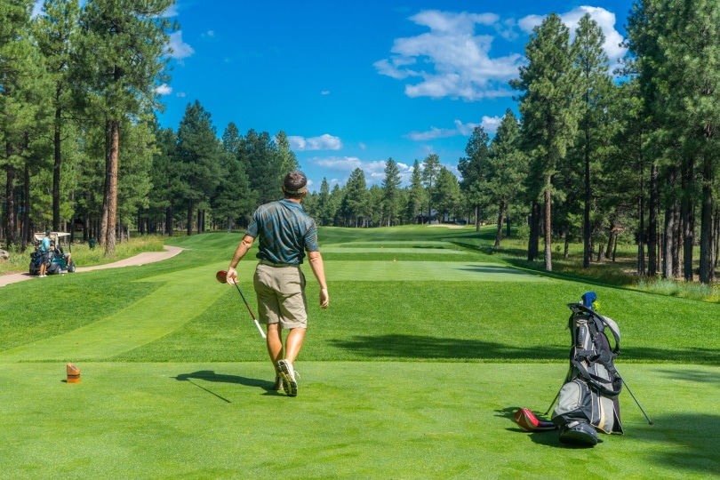 man playing golf