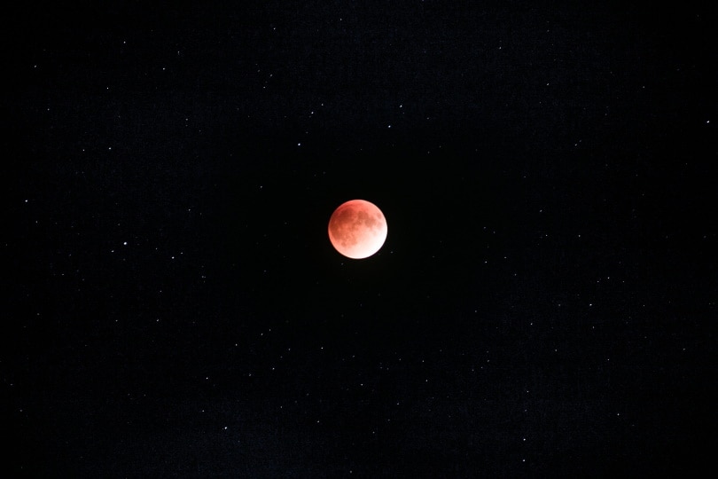 moon at dark night