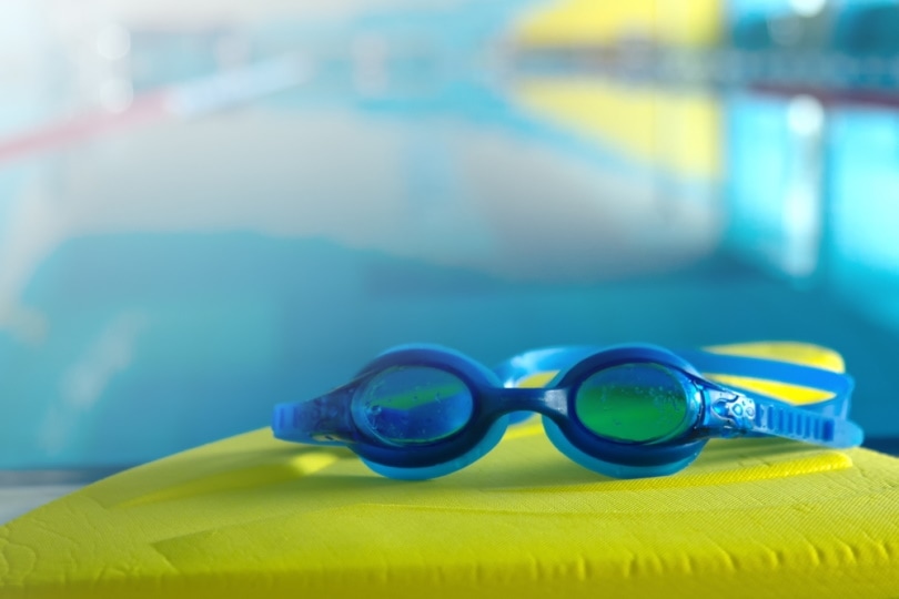 6 Types of Swimming Goggles And Which to Choose (With Pictures