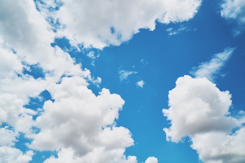white clouds