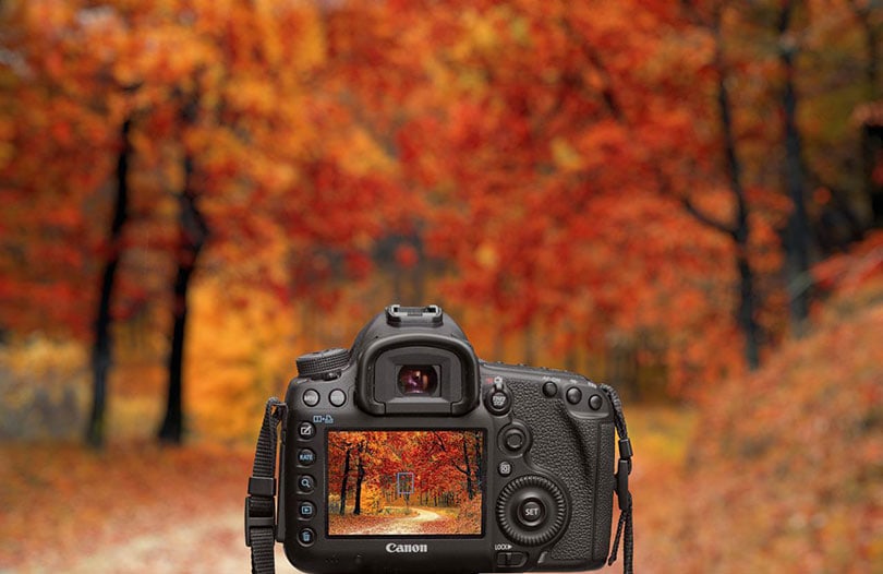 camera set up in an autumn landscape