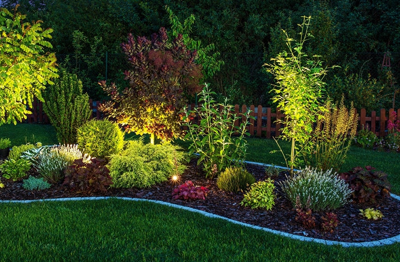 garden light