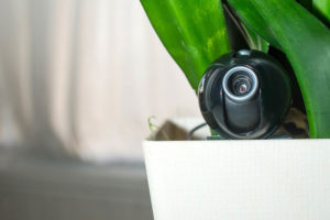 10 Types of Hidden Cameras (With Pictures) - Optics Mag