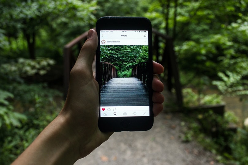 instagram app in a smartphone