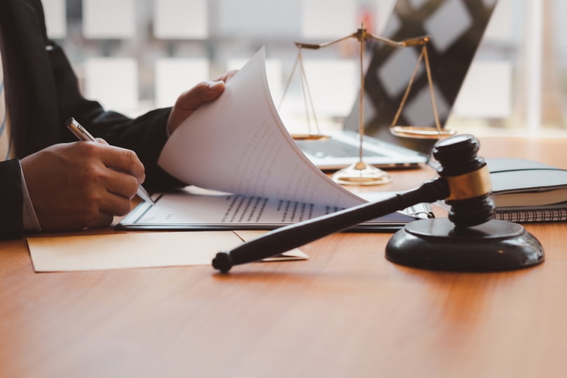 judge work in the office with judge gavel
