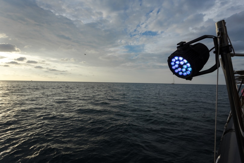 10 Best Boat Spotlights in 2024 — Reviews & Top Picks Optics Mag