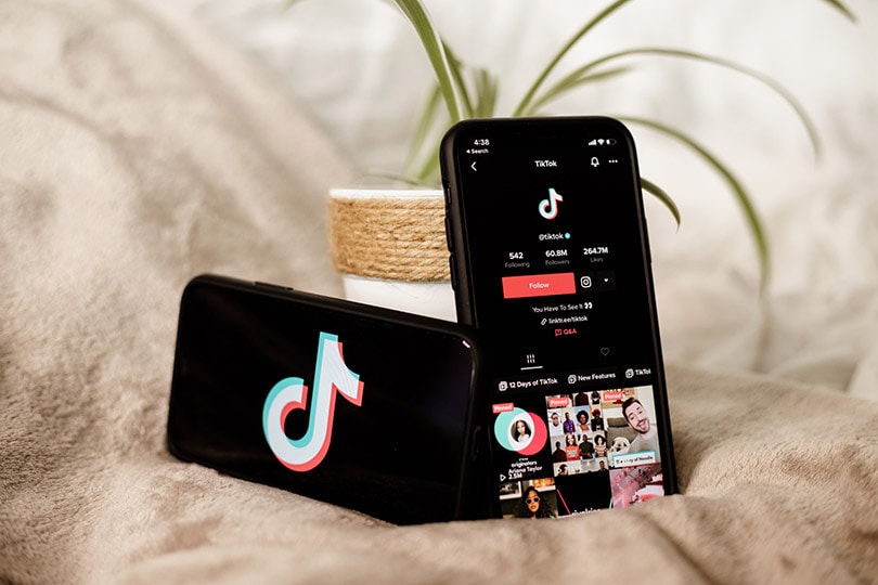 tiktok app in mobile phones