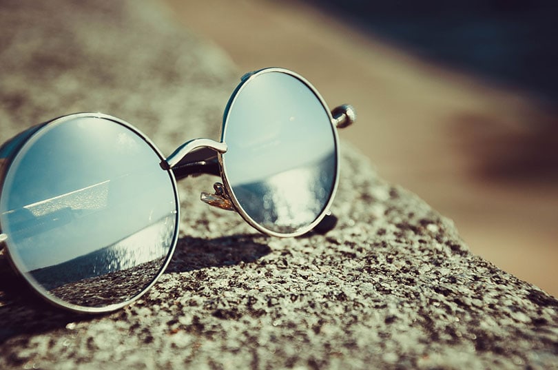 vintage sunglasses