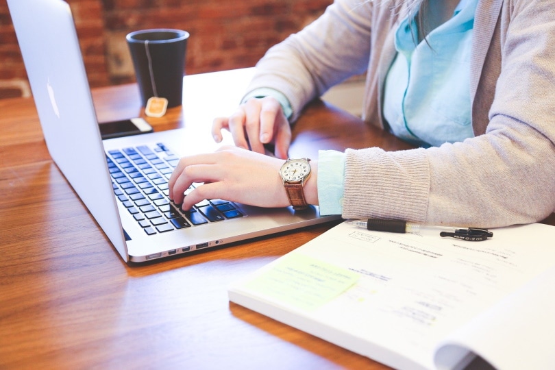 woman using computer