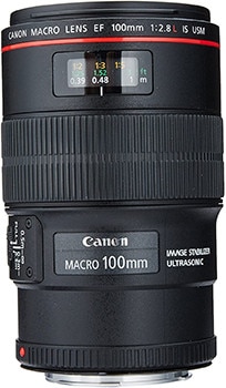 Canon EF 100mm