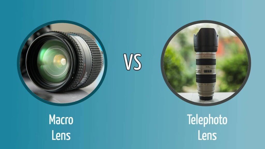 Macro Lens vs Telephoto Lens Featured Image