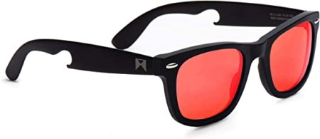 William Painter The Hook Titanium Polarized sunglasses