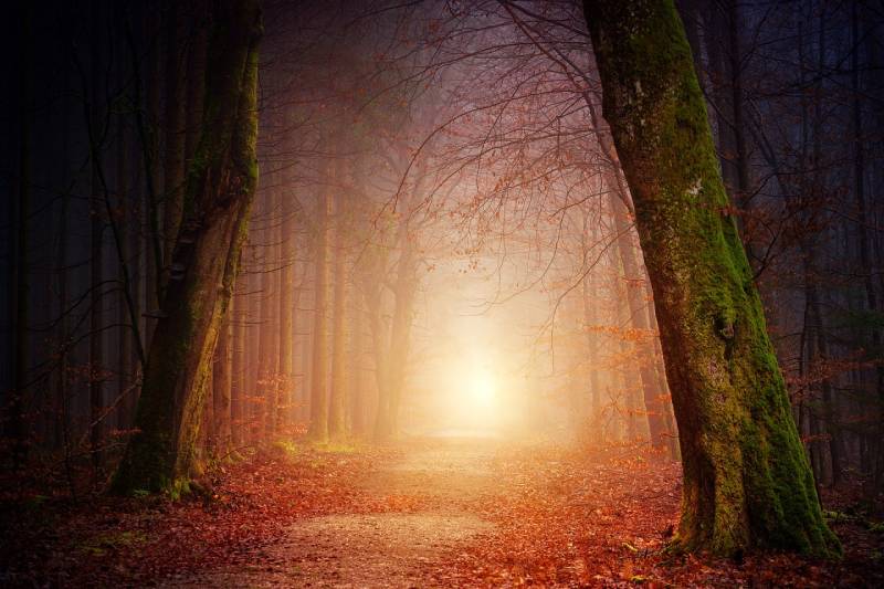 autumn sunset