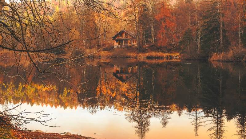 cottage by the lake during fall season
