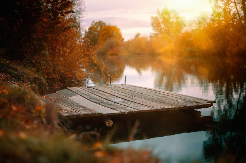 dock on a lake during fall season