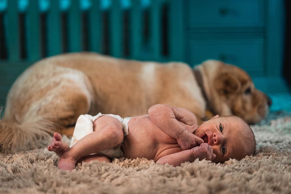 dog and baby