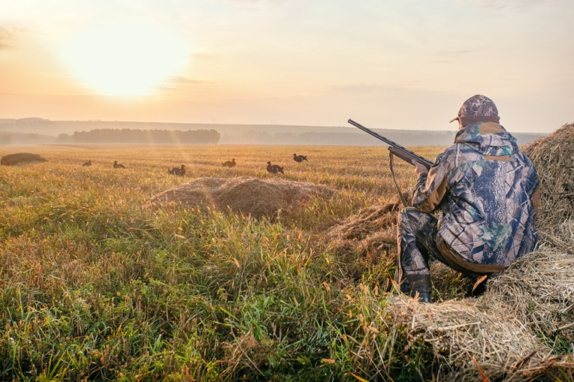 hunter holding gun