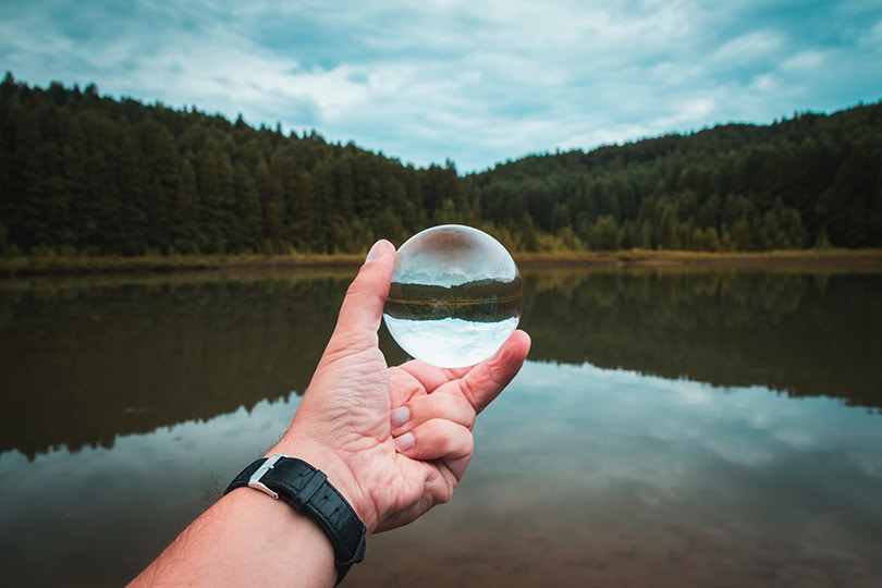 lensball nature