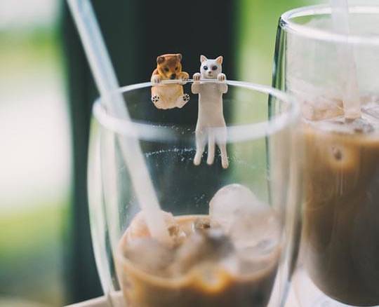 little dog and cat figures on the edge of glass