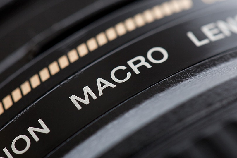 What Is a Macro Lens? Photography Basics Explained Optics Mag