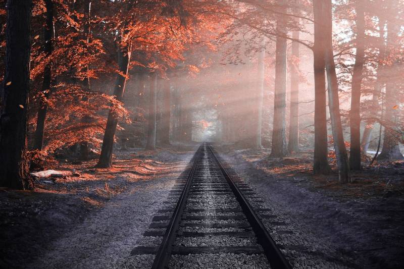 railway during fall season