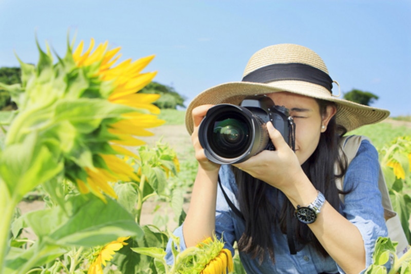 woman taking picture of sunflower