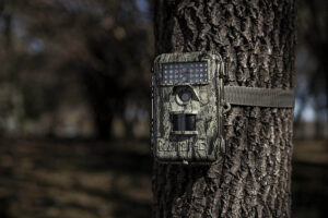 Bushnell Trophy Trail Camera strapped on a tree