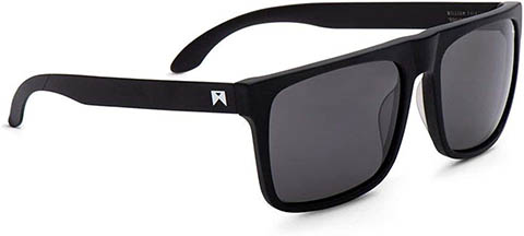 William Painter The Level