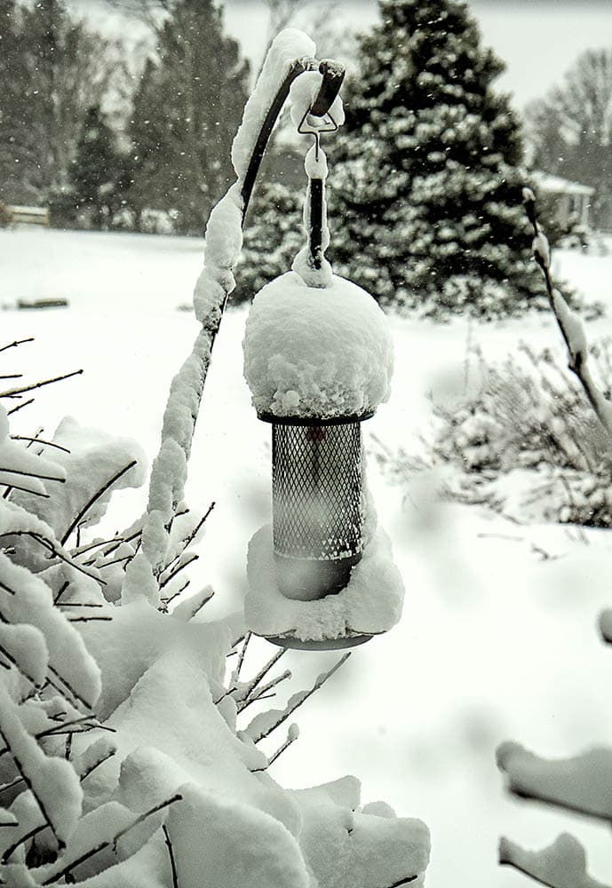 birdfeeder covered with snow