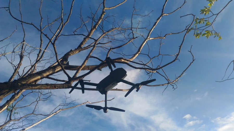 drone crashed in the tree