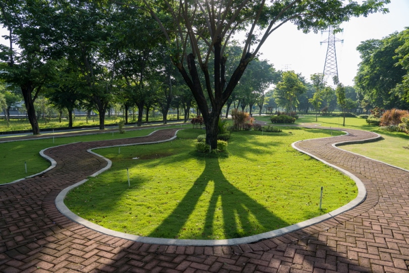 Can You Fly Drones in National Parks? What You Need to Know! Optics Mag