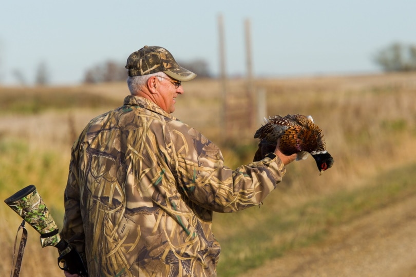 hunter holding pheasant bird