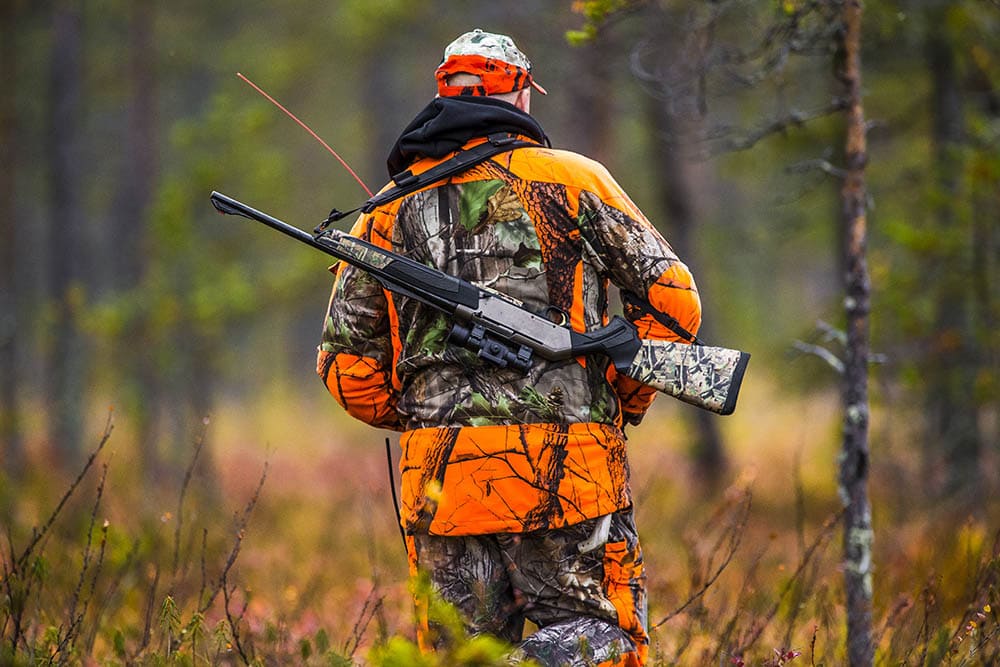 Can You Hunt in National Forests? Everything You Need to Know - Optics Mag