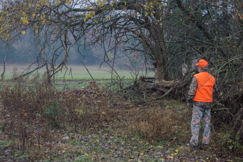 Can You Hunt on Sunday in Pennsylvania? Optics Mag