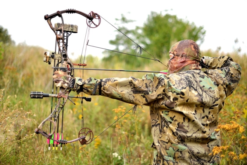 hunter using bow