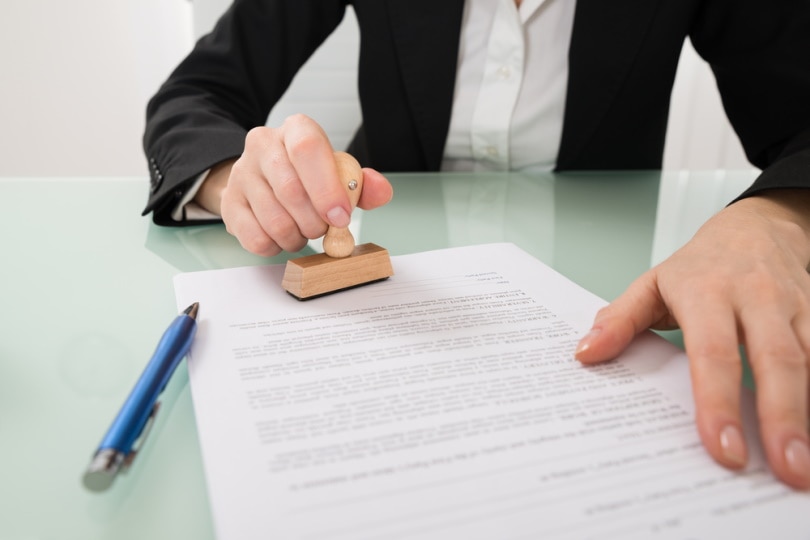 man use stamper on documents