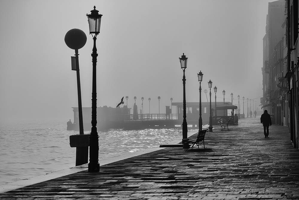 monochromatic shot of a baywalk