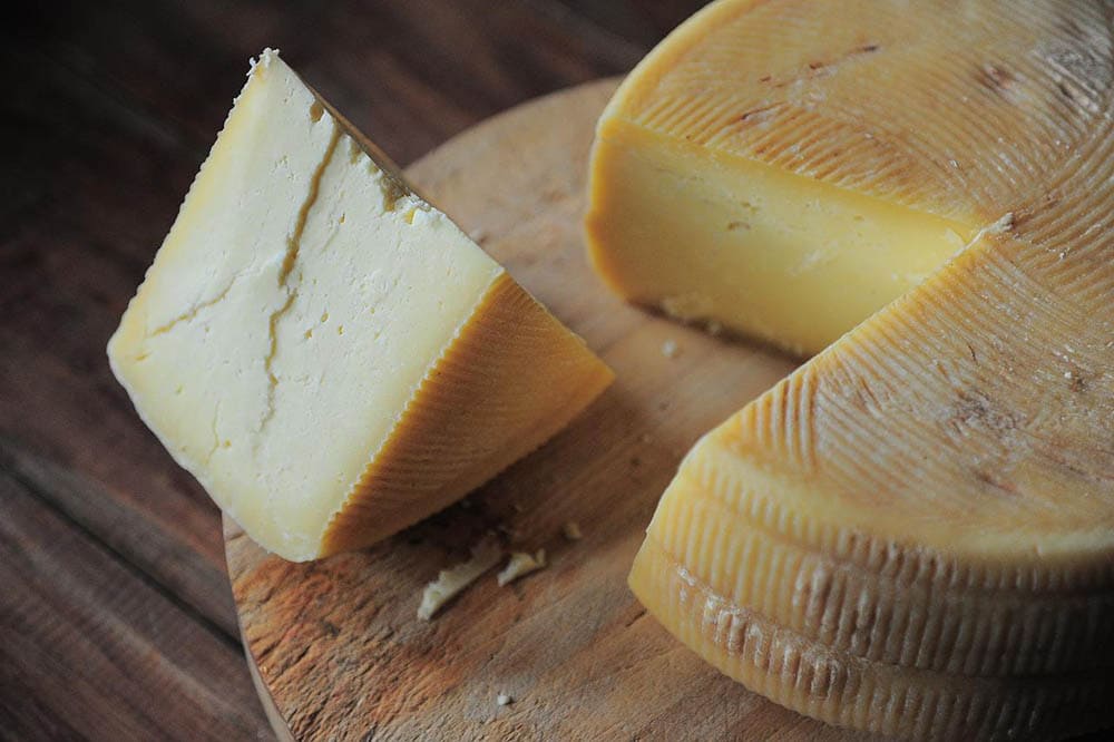 slice of cheese