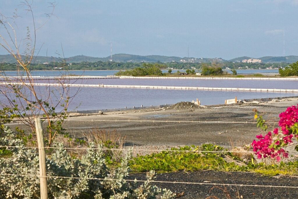 Cabo Rojo salt flats