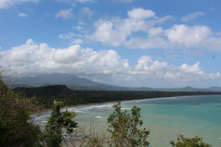 Puerto Rico Birding – Tips, Hotspots, & Guide - Optics Mag